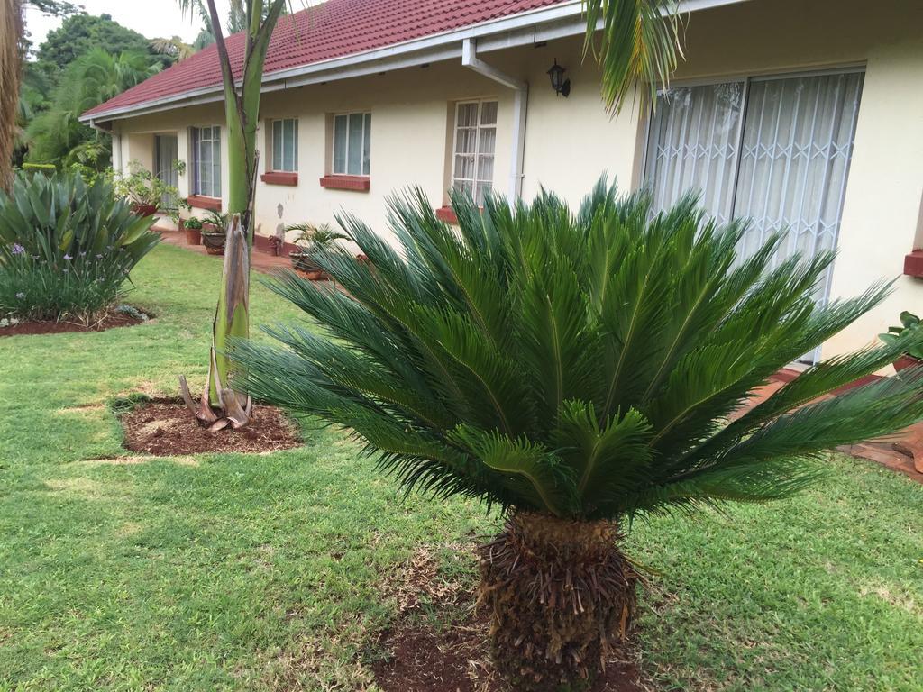 Palm Villa Harare Luaran gambar