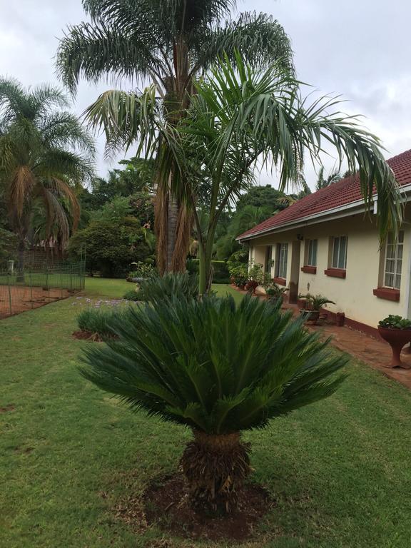 Palm Villa Harare Luaran gambar